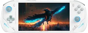 OneXFly